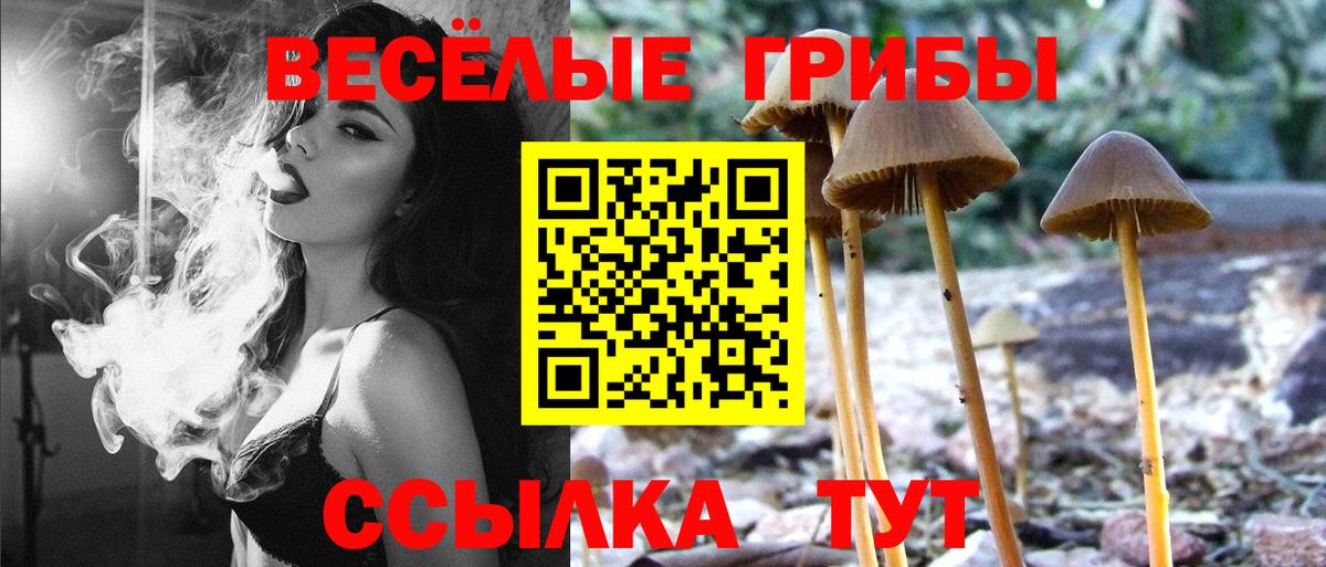 Псилоцибиновые грибы Magic Shrooms  Вход с VPN  Заволжье 