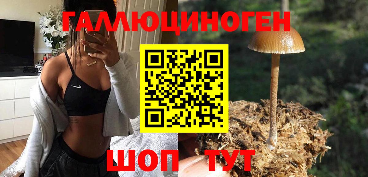 Псилоцибиновые грибы GOLDEN TEACHER Заволжье