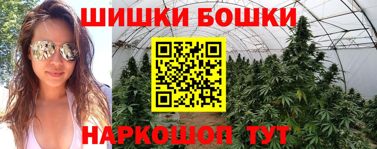 Конопля гибрид Заволжье